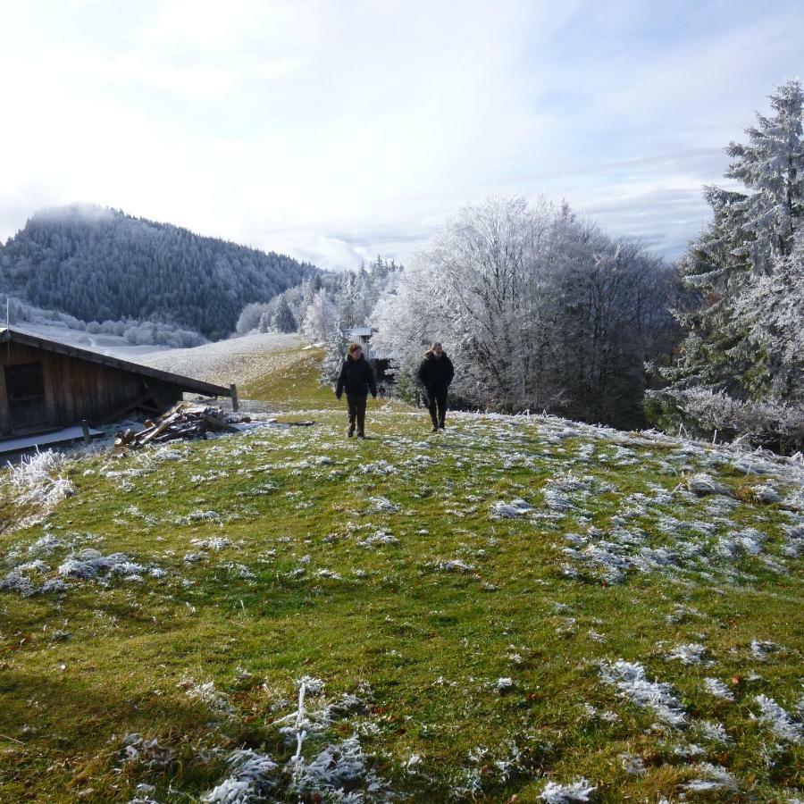 Apartamento Les Sapins Blancs Vacheresse Exterior foto