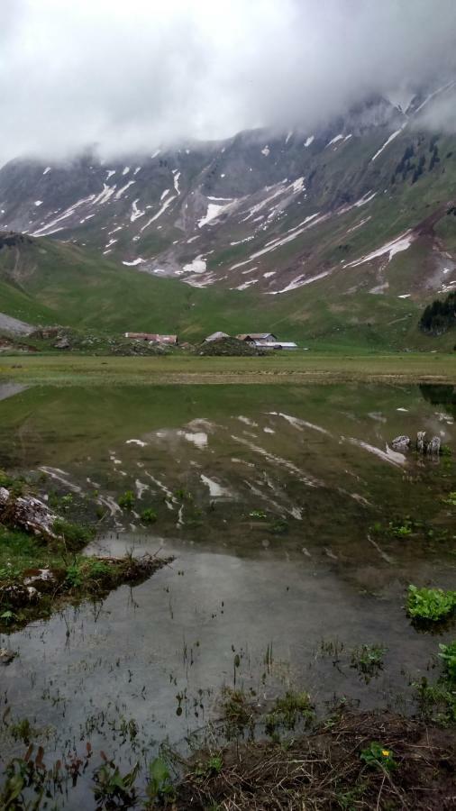 Apartamento Les Sapins Blancs Vacheresse Exterior foto